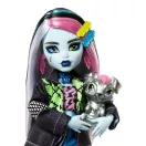Monster High Szörnyen új baba kiskedvenccel - Frankie Stein