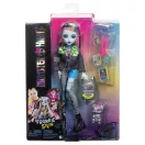 Monster High Szörnyen új baba kiskedvenccel - Frankie Stein