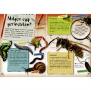Séta a természetben (új)