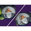 PLAYMOBIL® 70808 Tavaszi szertartás