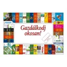 Gazdálkodj okosan! (forintos) társasjáték    
