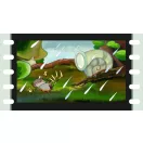 Diafilm: Vízipók-csodapók 2.  - Mindenki tévedhet