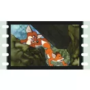 Diafilm: Vuk 2.