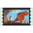 Diafilm: A nagyhatalmú Sündisznócska