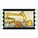 Diafilm: Zsiráf Zsiga és Mackó Miki