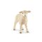 Schleich 13883 Bárány
