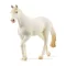 Schleich 13959 Camarillo kanca
