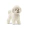 Schleich 13963 Bichon frisé kutya