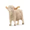 Schleich 13970 Angórakecske