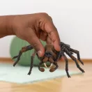 Schleich 13987 Harry Potter - Aragog