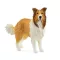 Schleich 13998 Skót juhászkutya