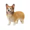 Schleich 13999 Welsh corgi