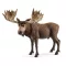 Schleich 14781 Jávorszarvas bika