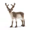 Schleich 14837 Rénszarvas