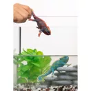 Schleich 14858 Kaméleon