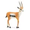 Schleich 14861 Thomson-gazella