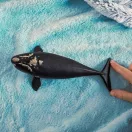 Schleich 14878 Északi simabálna