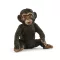 Schleich 14884 Csimpánz kölyök