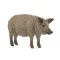 Schleich 14892 Mangalica sertés
