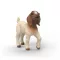 Schleich 14930 Búrkecske gida