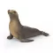 Schleich 14933 Oroszlánfóka