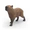 Schleich 14934 Kapibara