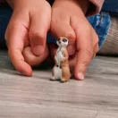 Schleich 14935 Szurikáta