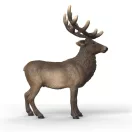 Schleich 14992 Jávorszarvas