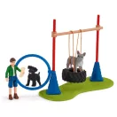 Schleich 42536 Játék kutyáknak
