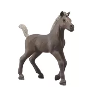 Schleich 81460 Horse Club Gyűjthető csikó - Darcy