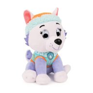 Mancs őrjárat plüss 15 cm - Everest