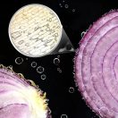 Topbright Science Can Mikroszkóp laboratóriummal