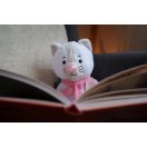 Fényesorrú plüss 25 cm - Cica