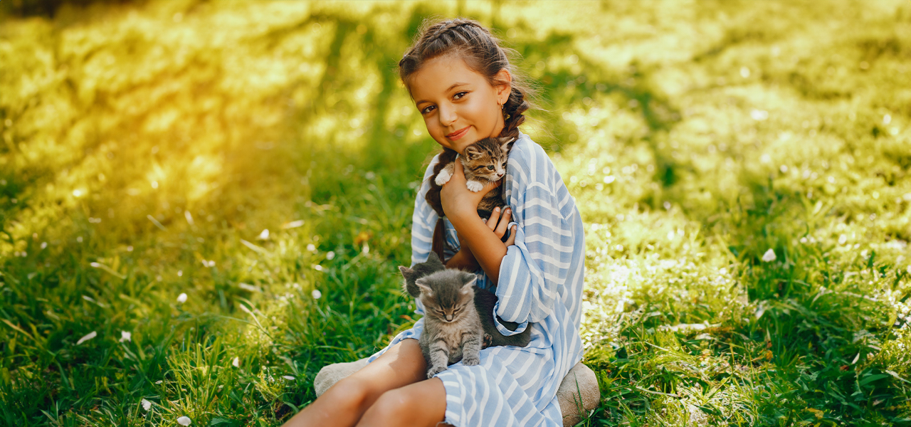 Nemzetközi cicanap: a legjobb cicás aktivitások